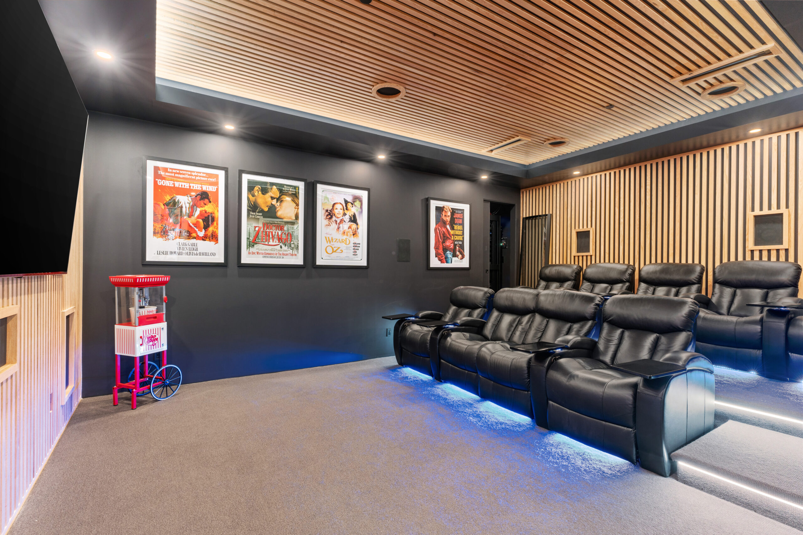 Theatre Room